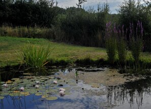 Classic House, 2 Bedrooms | View from property