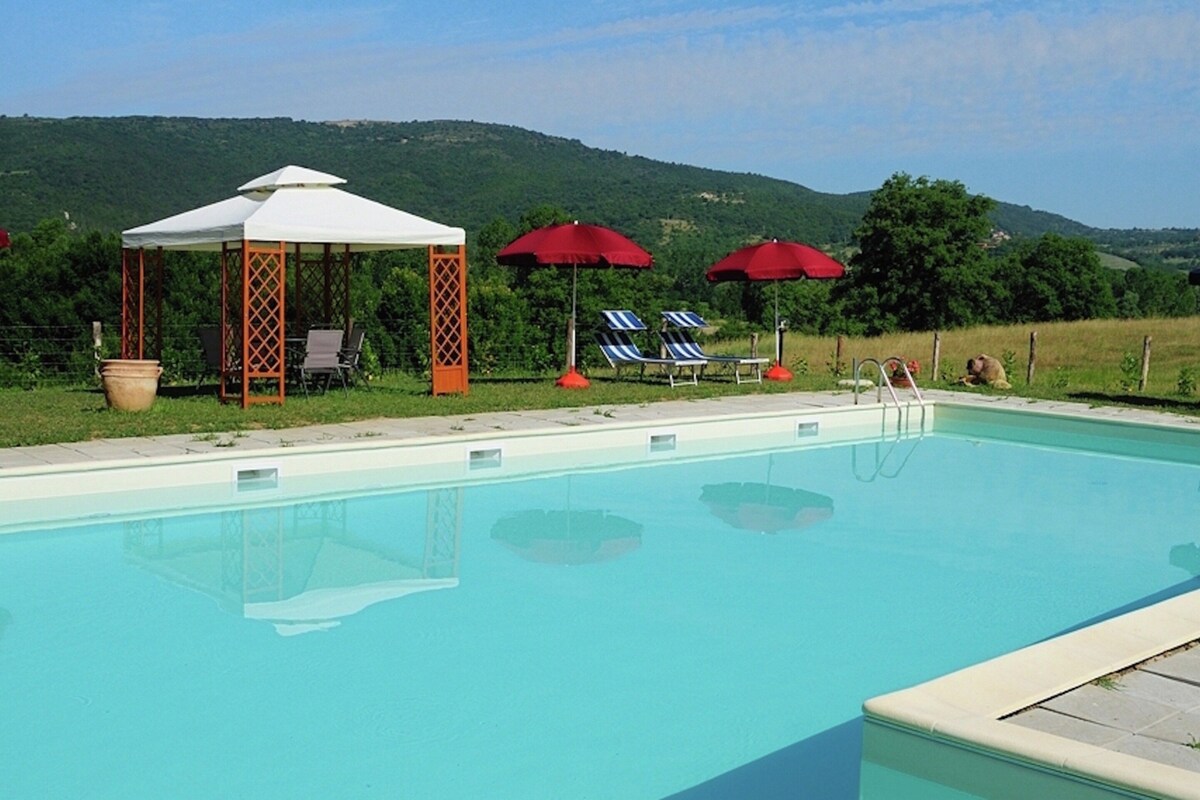 Piscina con sillas de descanso y sombrillas, rodeada de césped y colinas al fondo.