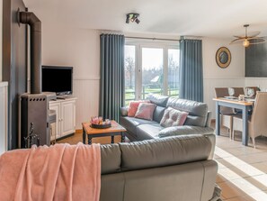 Classic House, 3 Bedrooms | Living room | DVD player - Picture-perfect Holiday Home in Sourbrodt With Garden, BBQ (Waimes)