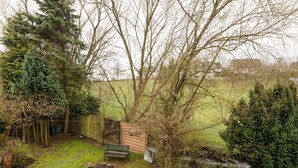 Ein Garten mit einer Holzbank, einem kleinen Teich und verschiedenen Bäumen und Sträuchern.