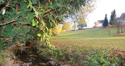 Modern Group of Homes Close to Willingen and Winterberg With Large Garden