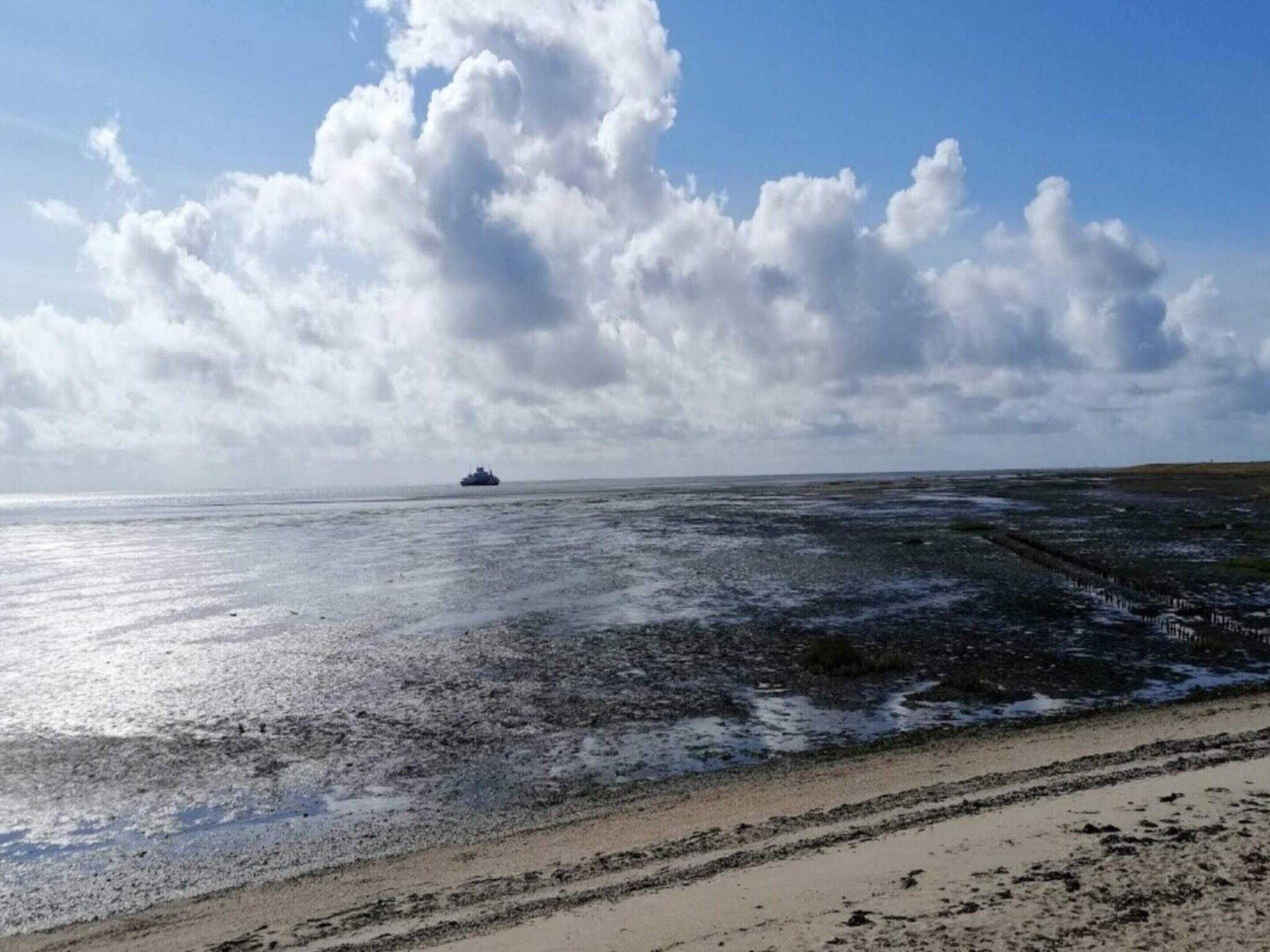 A beach with a ship in the distance, a clear sky, and a sandy shore.