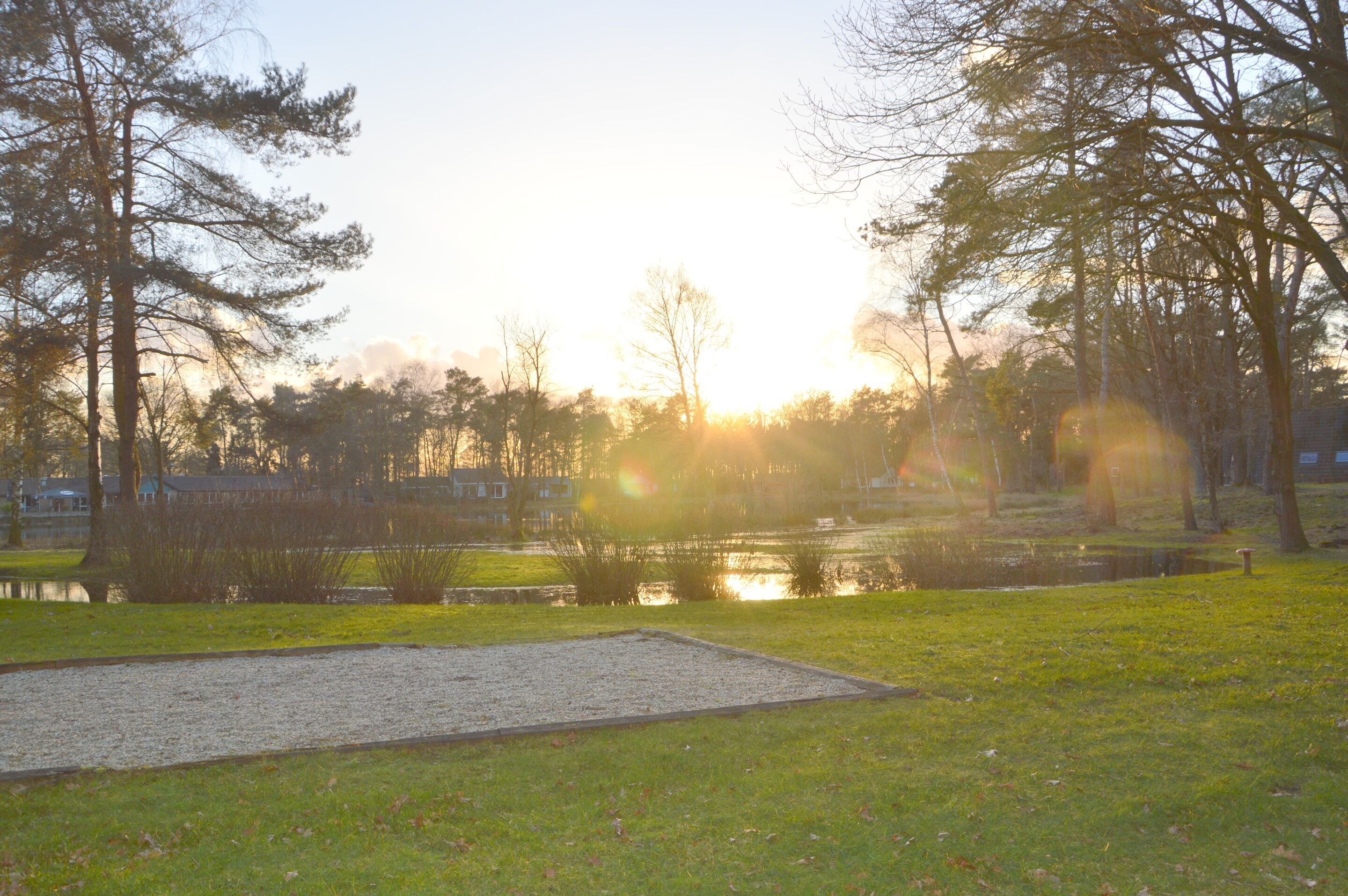 A park with a pond, trees, and a clear sky.