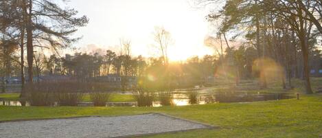 A park with a pond, trees, and a clear sky.