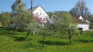Ein weißes Haus mit Giebeldach, umgeben von einer grünen Wiese mit blühenden Bäumen und gelben Blumen.