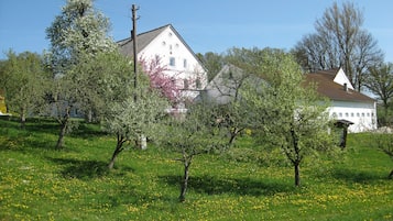 Elite Apartment, 2 Bedrooms | Garden