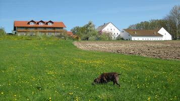 Classic Apartment, 1 Bedroom | Garden