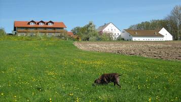 Classic Apartment, 1 Bedroom | Garden