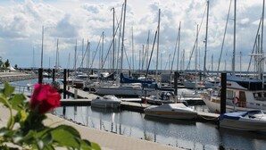 Ein Yachthafen mit mehreren angedockten Booten, bewölkter Himmel und einer Rose im Vordergrund.