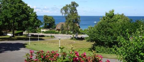 Ein Wohngebiet mit einer Straße, Häusern und Blick auf das Meer.