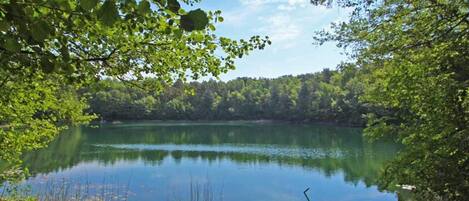 A tranquil lake surrounded by dense forest, calm water, and a clear sky.