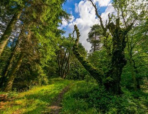 Elite House, 1 Bedroom | Exterior - 2 Person Holiday Home in Nexo (Nexø)