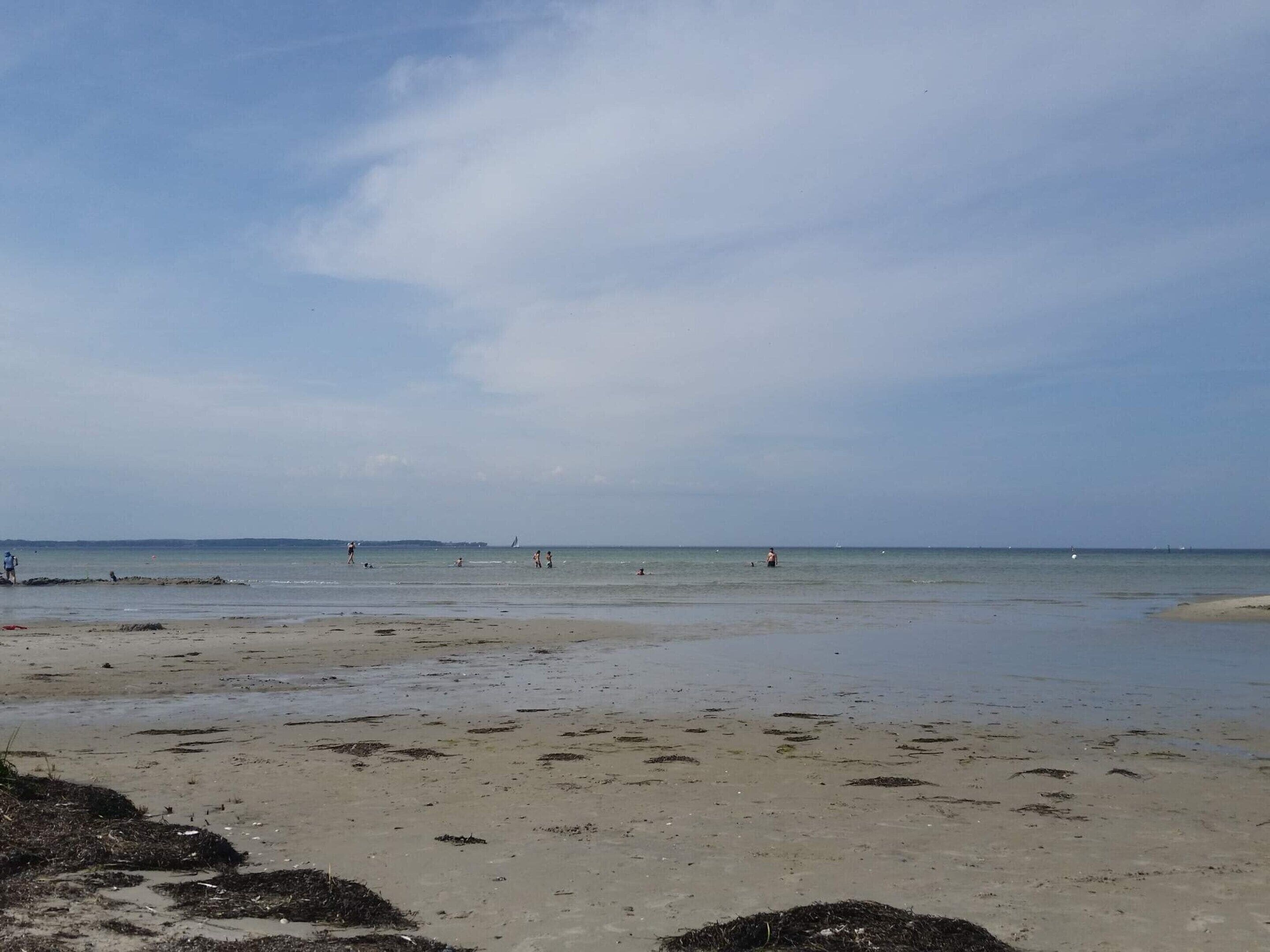 A beach with a sandy shore, some seaweed, and a few people in the water.