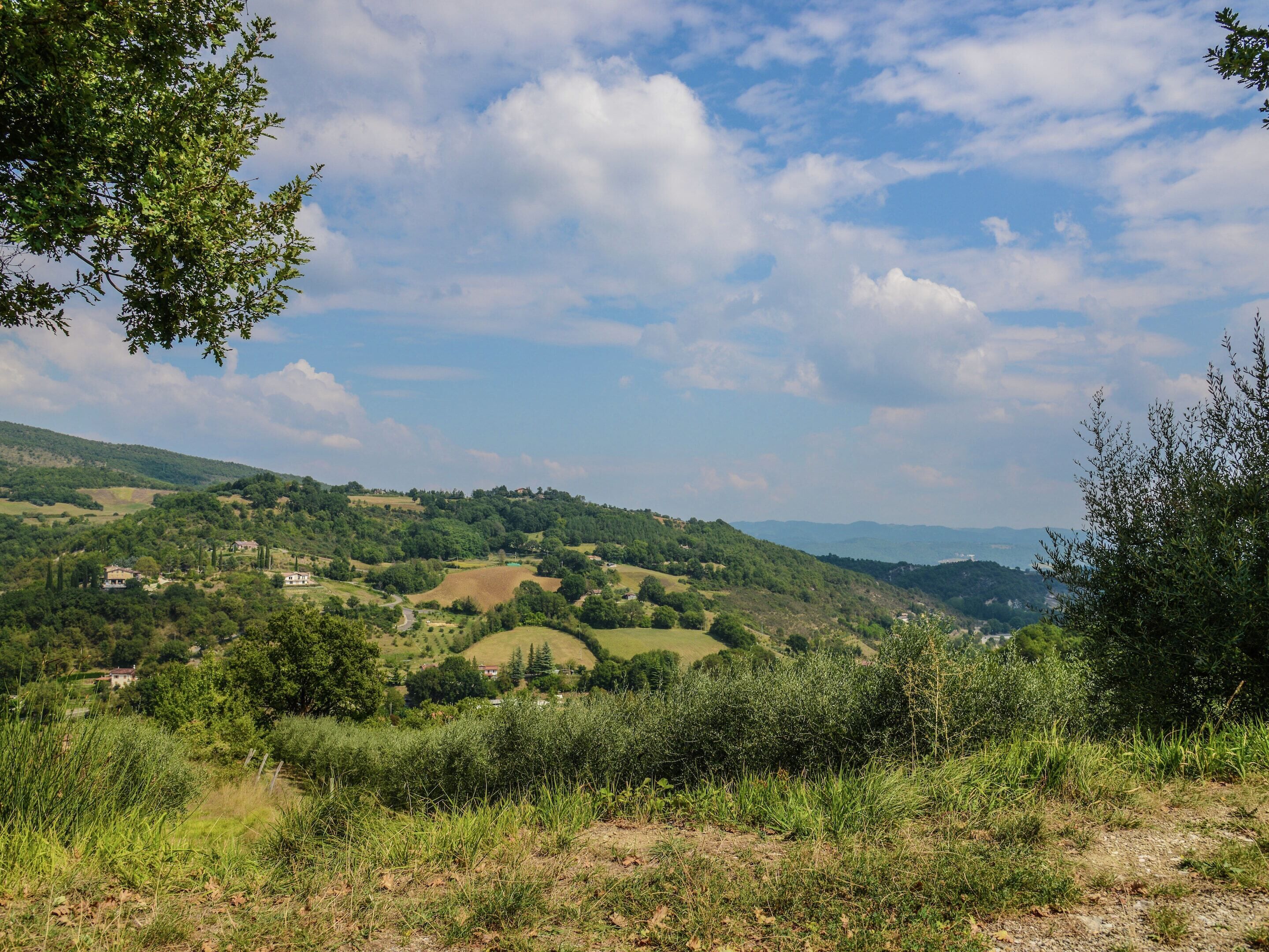 Ländliche Landschaft mit sanften Hügeln, verstreuten Häusern und dichter Vegetation.