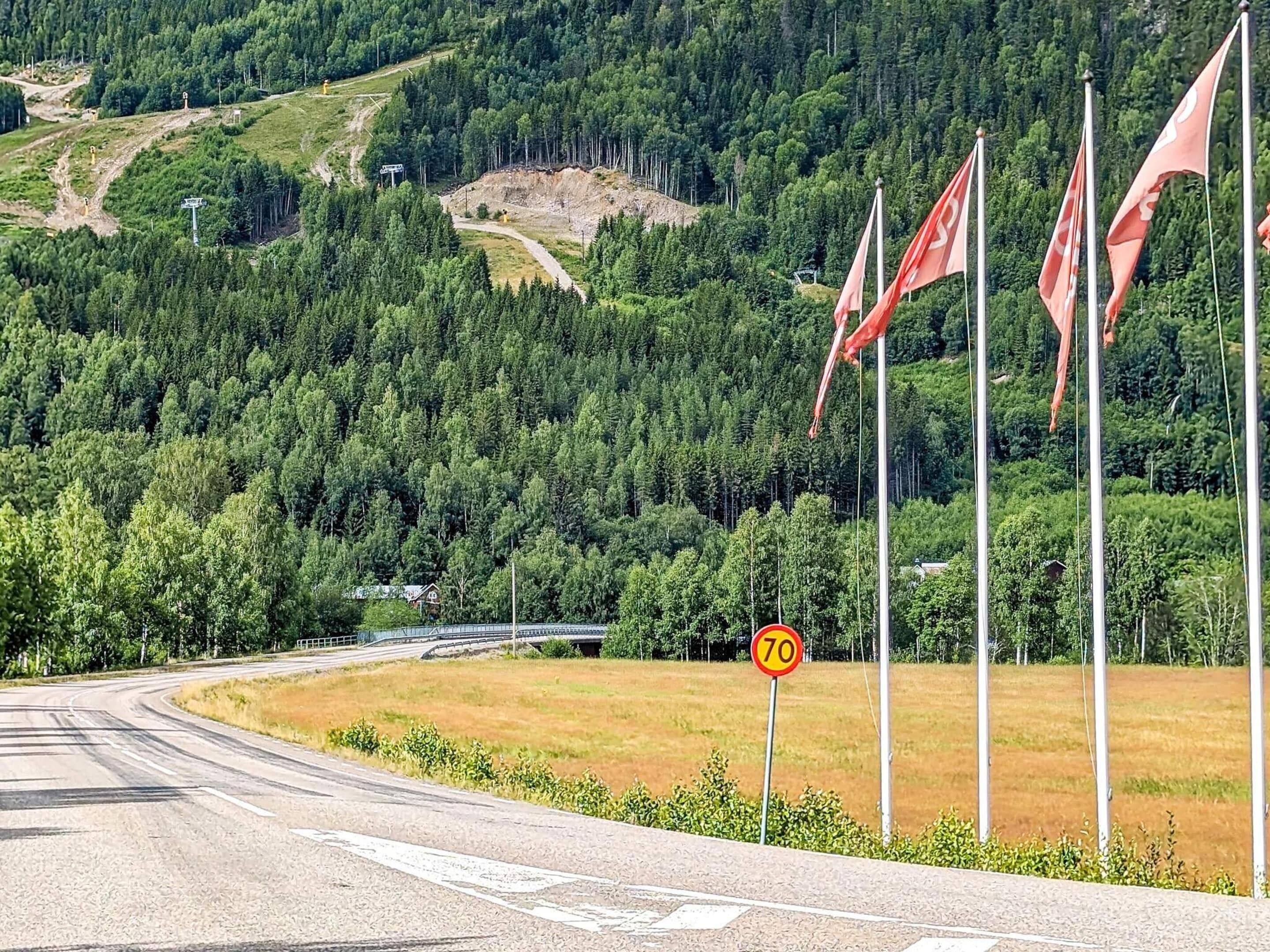 Una carretera serpentea por una zona boscosa, con un cartel de límite de velocidad y banderas.