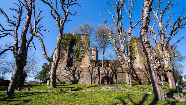 A historic building with a stone facade, a tower, and a grassy courtyard surrounded by bare trees. - Grosse Gruppenunterkunft im Nationalpark Eifel mit Bar und Terrasse (Schleiden)