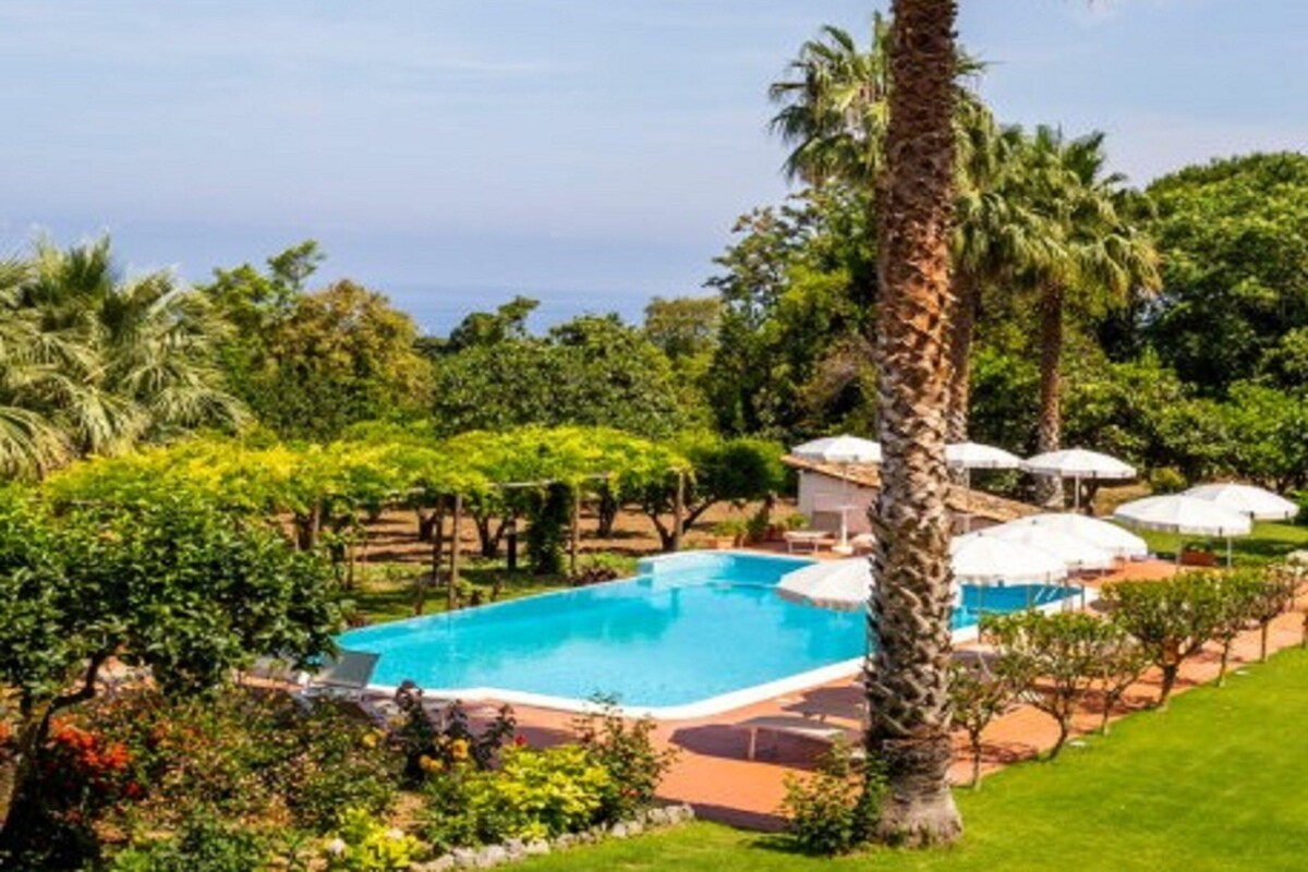 A pool surrounded by palm trees and greenery, with umbrellas and a view of the ocean.