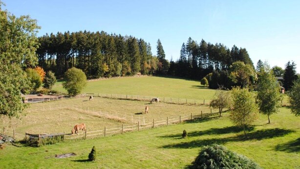 A fenced pasture with grazing animals, surrounded by trees and a clear sky. - Spacious Apartment in Madfeld With Private Terrace (Brilon)