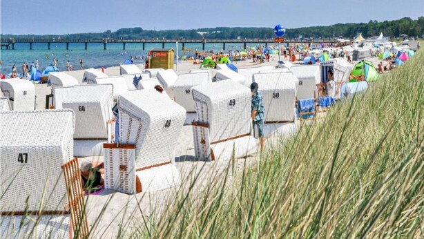 Filas de casas móviles frente a la playa, numeradas, con un muelle al fondo.