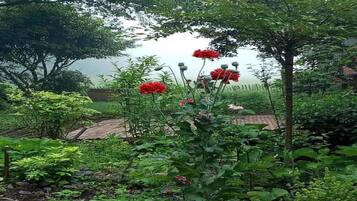 Casa conforto, 2 quartos | Vista da propriedade