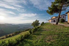 Garden - Flat on a Farm With Swimming Pool and Many Activities (Sant'Angelo in Vado)