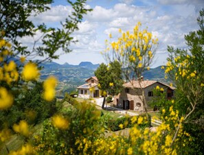 Ein Haus aus Stein mit einem Ziegeldach, umgeben von Grünpflanzen und gelben Blumen, vor einer Berglandschaft.