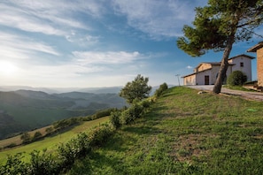 Garden - Flat on a Farm With Swimming Pool and Many Activities (Sant'Angelo in Vado)