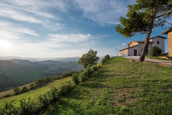 Garden - Flat on a Farm With Swimming Pool and Many Activities (Sant'Angelo in Vado)