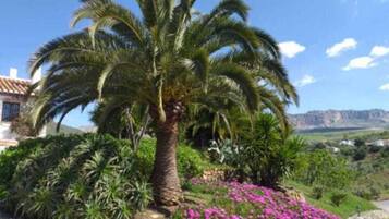 Rumah Comfort, 2 kamar tidur | Pemandangan dari properti