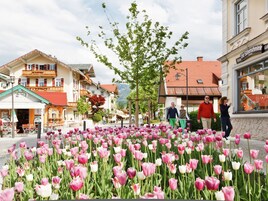 Elite Apartment, 1 Bedroom | View from property