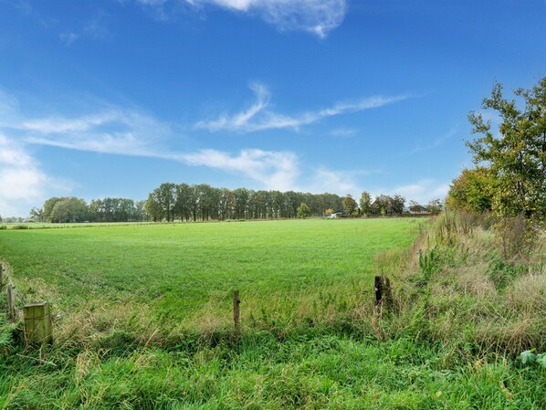 Un vaste champ verdoyant, avec une clôture en bois au premier plan, une rangée d’arbres à l’arrière-plan et un ciel bleu dégagé au-dessus.