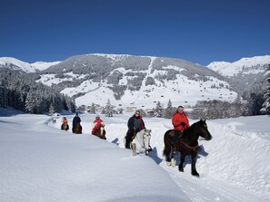 A group of people riding horses on a snow-covered slope with a mountain backdrop. - Cozy Apartment Near Ski Area in Mayrhofen (Schwendau)