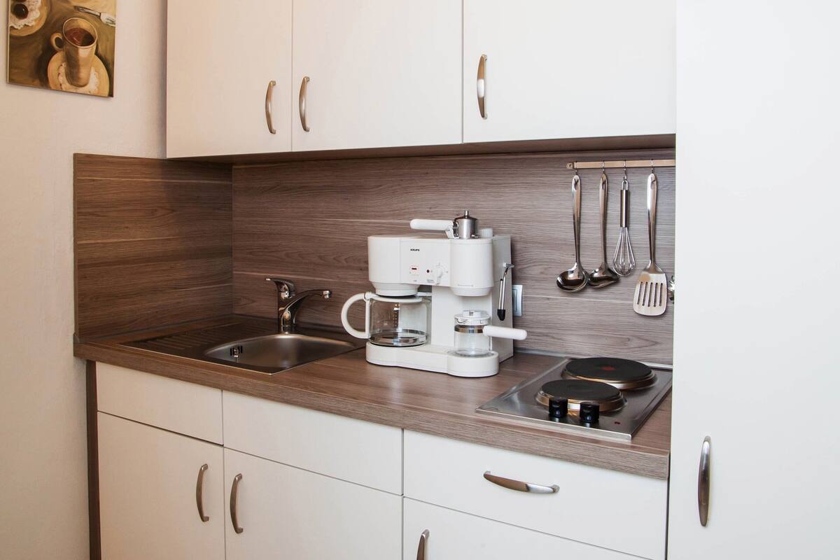 Classic Apartment, 1 Bedroom | Private kitchen