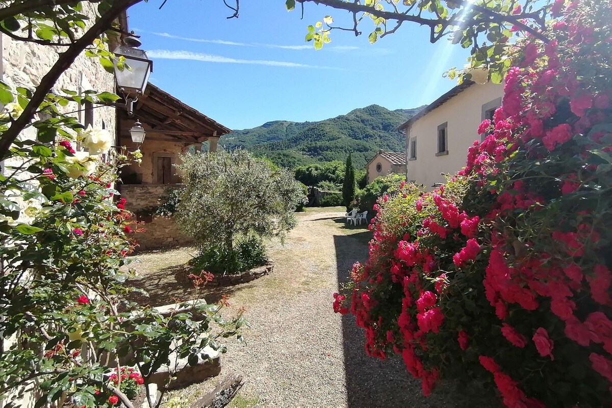 A narrow cobblestone path flanked by rustic stone buildings with flowering plants and a mountainous backdrop.