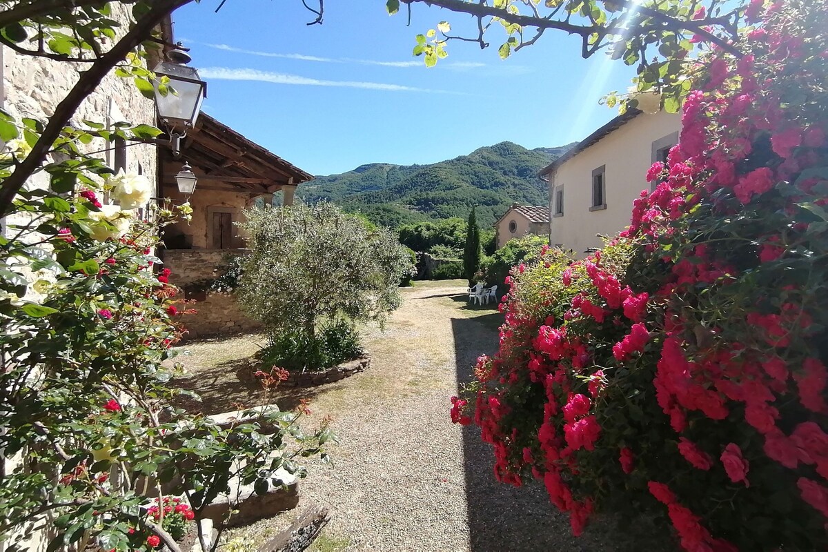 A narrow cobblestone path flanked by rustic stone buildings with flowering plants and a mountainous backdrop.