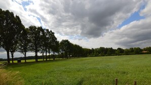 Ruohikkoalue, jossa on puita ja pilvinen taivas.