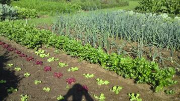 Comfort-Haus, 4 Schlafzimmer | Blick von der Unterkunft