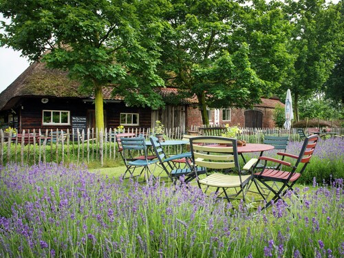 Cozy Group House in Reusel in a Natural Environment