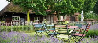 Cozy Group House in Reusel in a Natural Environment