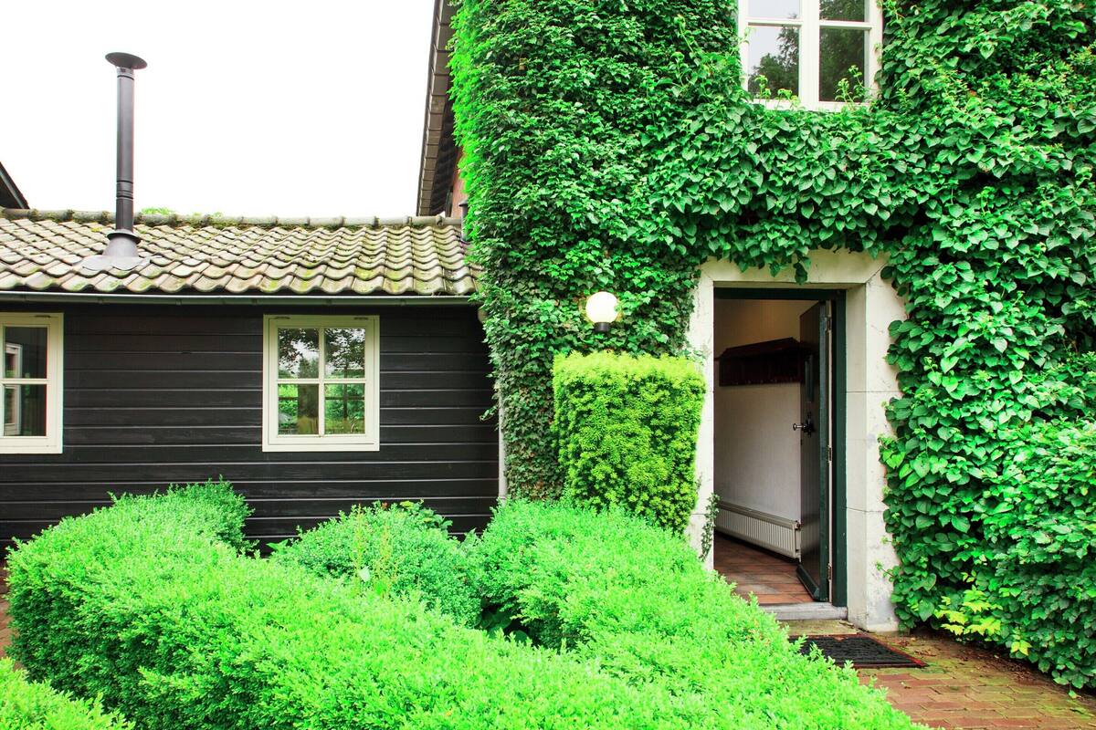 A black house with a tiled roof, ivy-covered walls, and a small garden with trimmed bushes.