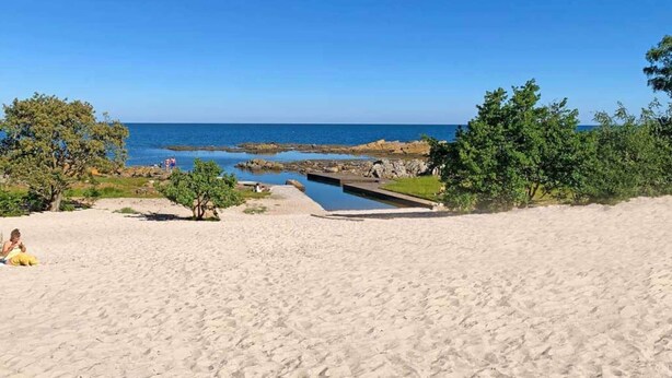 A beach with a clear view of the ocean, a pool, and some greenery. - 4 Person Holiday Home in Svaneke (Svaneke)