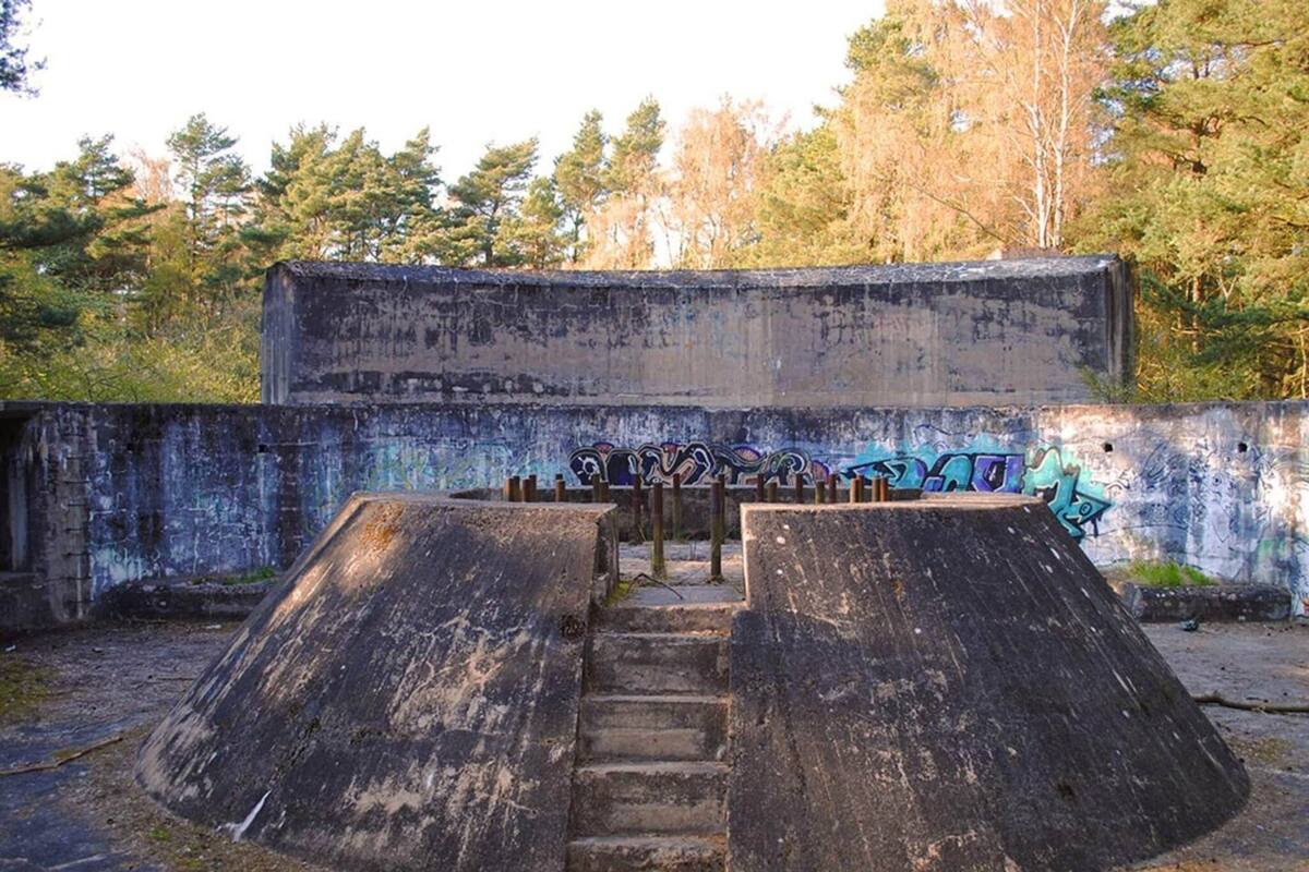 Une structure en béton recouverte de graffitis, un escalier et un paysage boisé en arrière-plan.