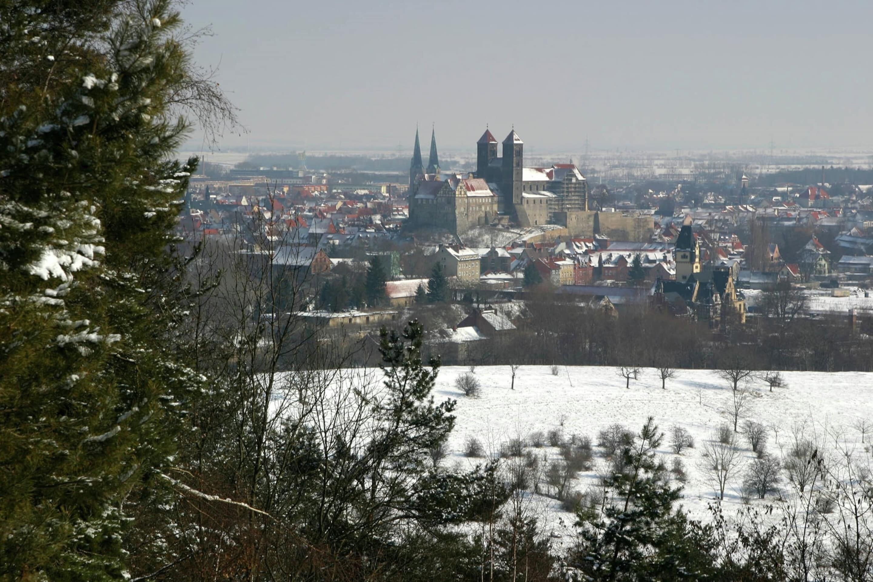 A panoramic view of a city with historic buildings and a castle-like structure in the background.