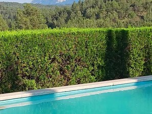 Pool - Luxurious Cottage in Sant Salvador de Guardiola (Sant Salvador de Guardiola)