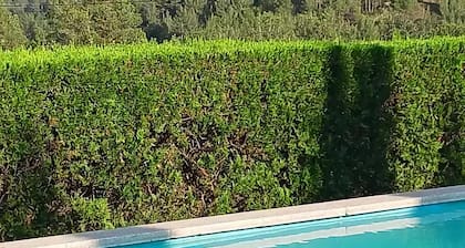 Luxurious Cottage in Sant Salvador de Guardiola