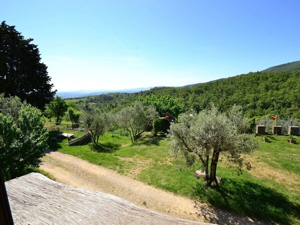 Classic Apartment, 2 Bedrooms | View from property