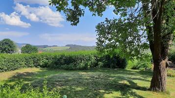 Classic House, 3 Bedrooms | Pemandangan dari hartanah