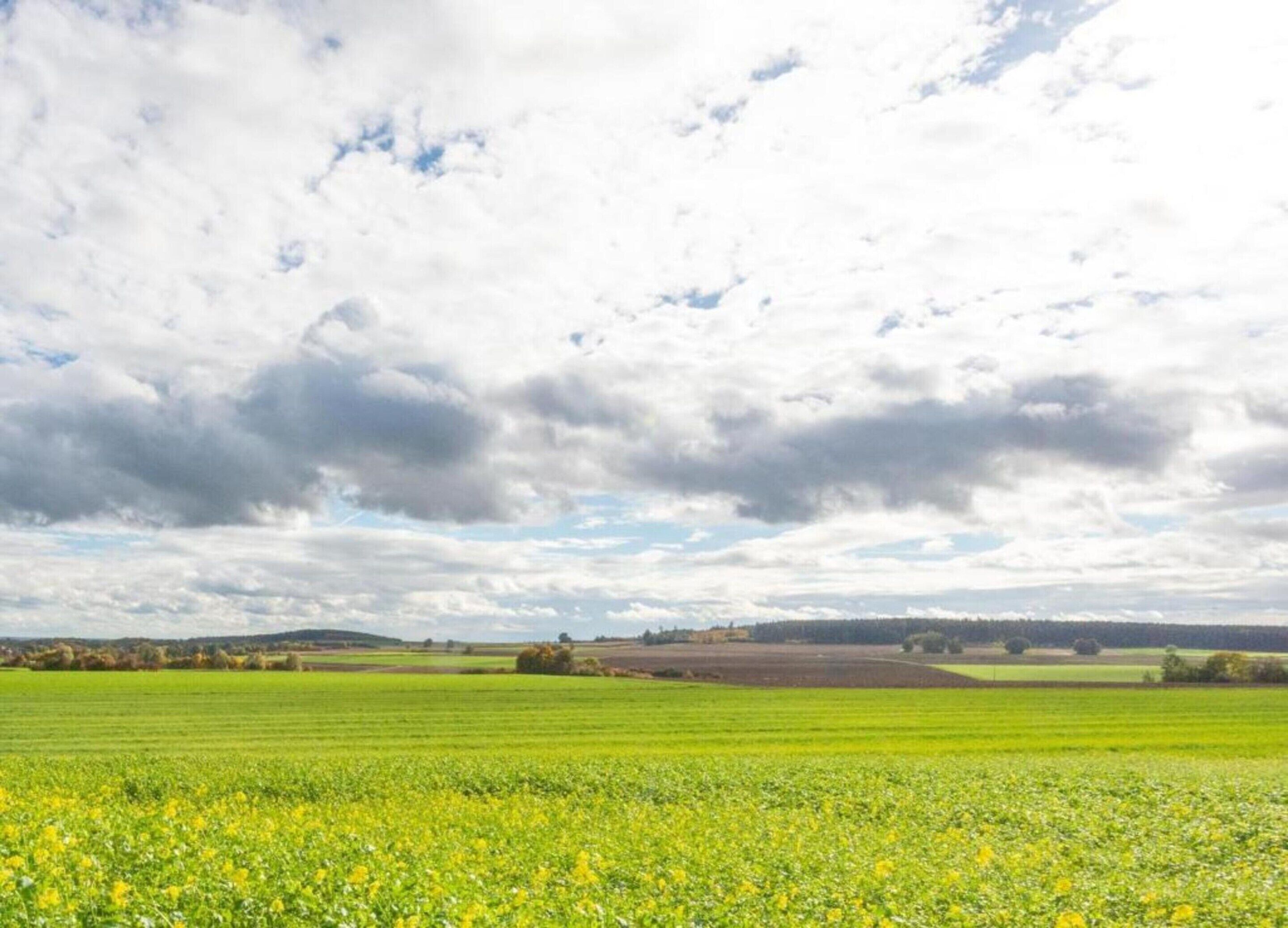 A vast open field with a clear sky and scattered clouds.
