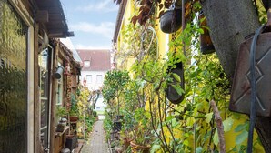 Un callejón estrecho flanqueado por edificios con paredes amarillas y una ventana visible, adornado con macetas y jardineras colgantes.