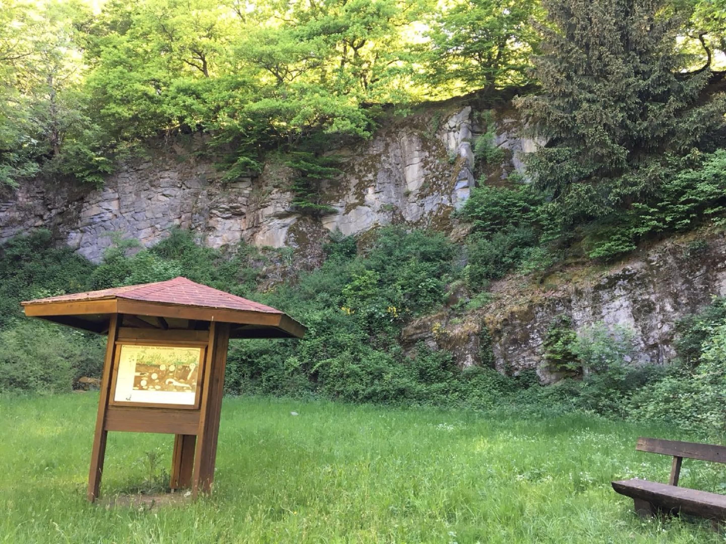 Un pavillon en bois, doté d’un toit, entouré d’une végétation luxuriante et d’arbres.